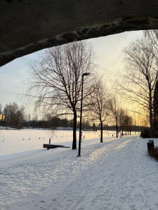 Hämeenlinna am 7.1.2026 vormittags