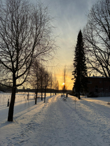 Hämeenlinna am 7.1.2026 vormittags